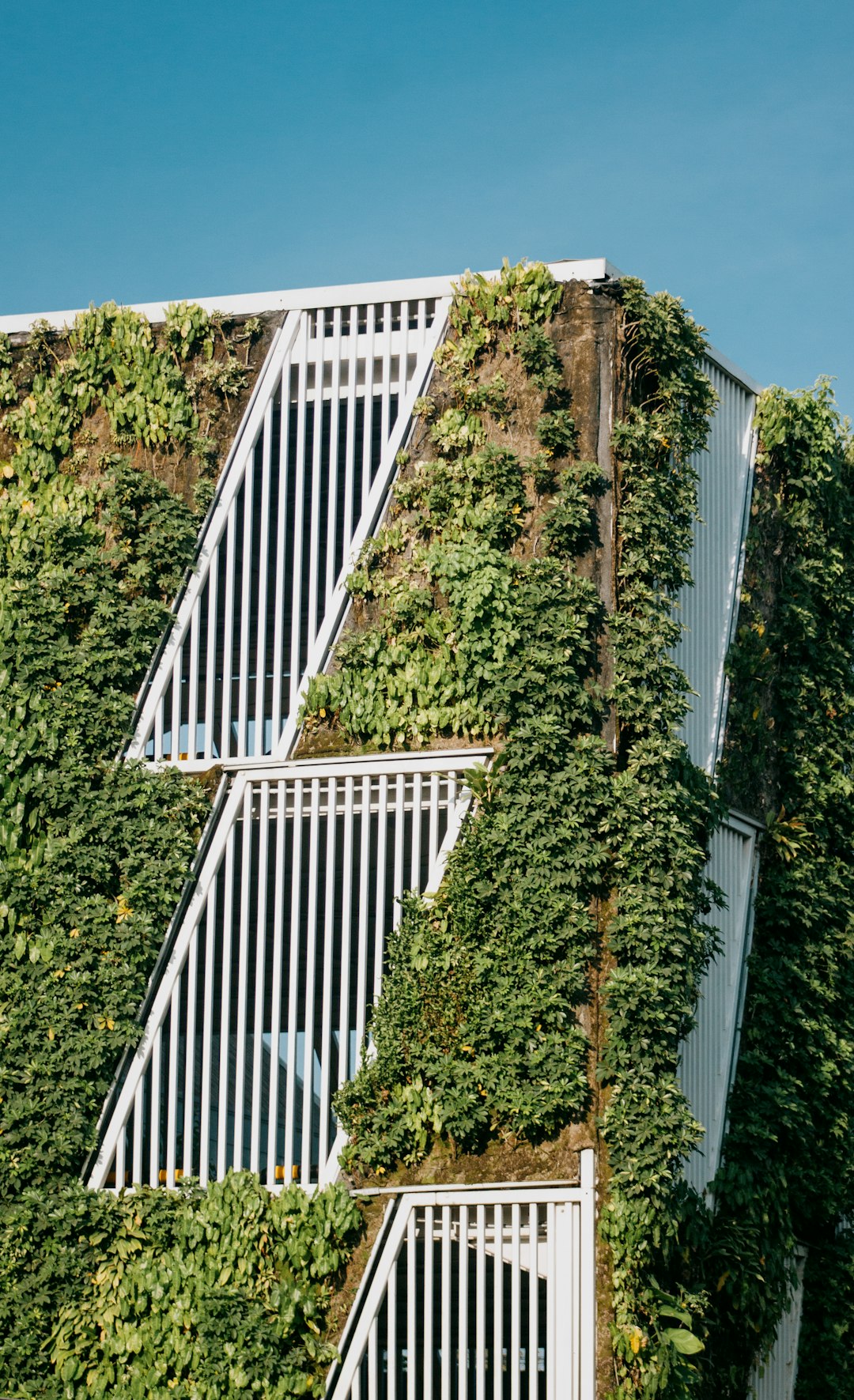 Sustainable Family Home